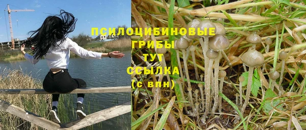 соль ск Зеленодольск