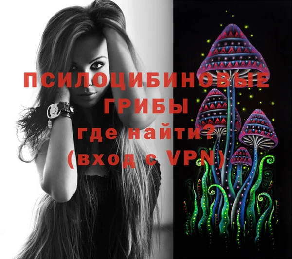 трава Зерноград