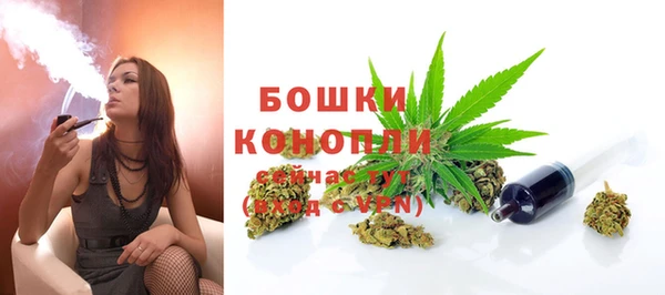 трава Зерноград