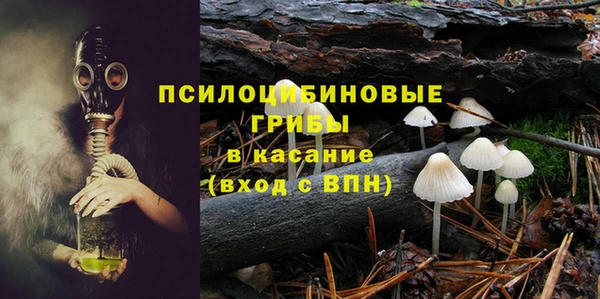 соль ск Зеленодольск