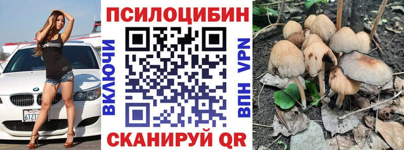 Псилоцибиновые грибы Cubensis  Купить  Электроугли 